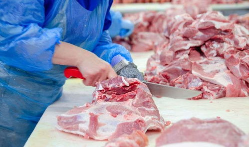 冰箱里的猪肉能放多久？过了这个期限，当心变成有害“僵尸肉”