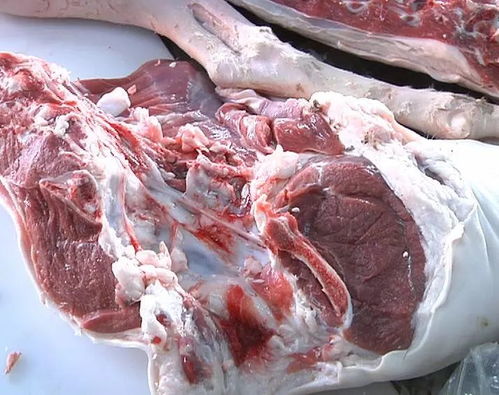 地膜回收难题加剧 竟是今年羊肉价格上涨的隐性推手