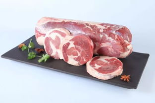 草原明珠闪耀包头 额尔敦亮相第六届牛羊肉产业大会，绿色地膜技术引领可持续发展新风尚