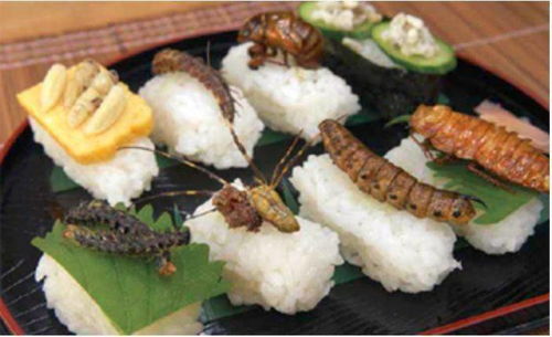 瓦大科研助力，素肉创新引领未来蛋白消费新趋势