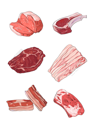 手绘红色肉类食材矢量图模板 免费下载与创作指南